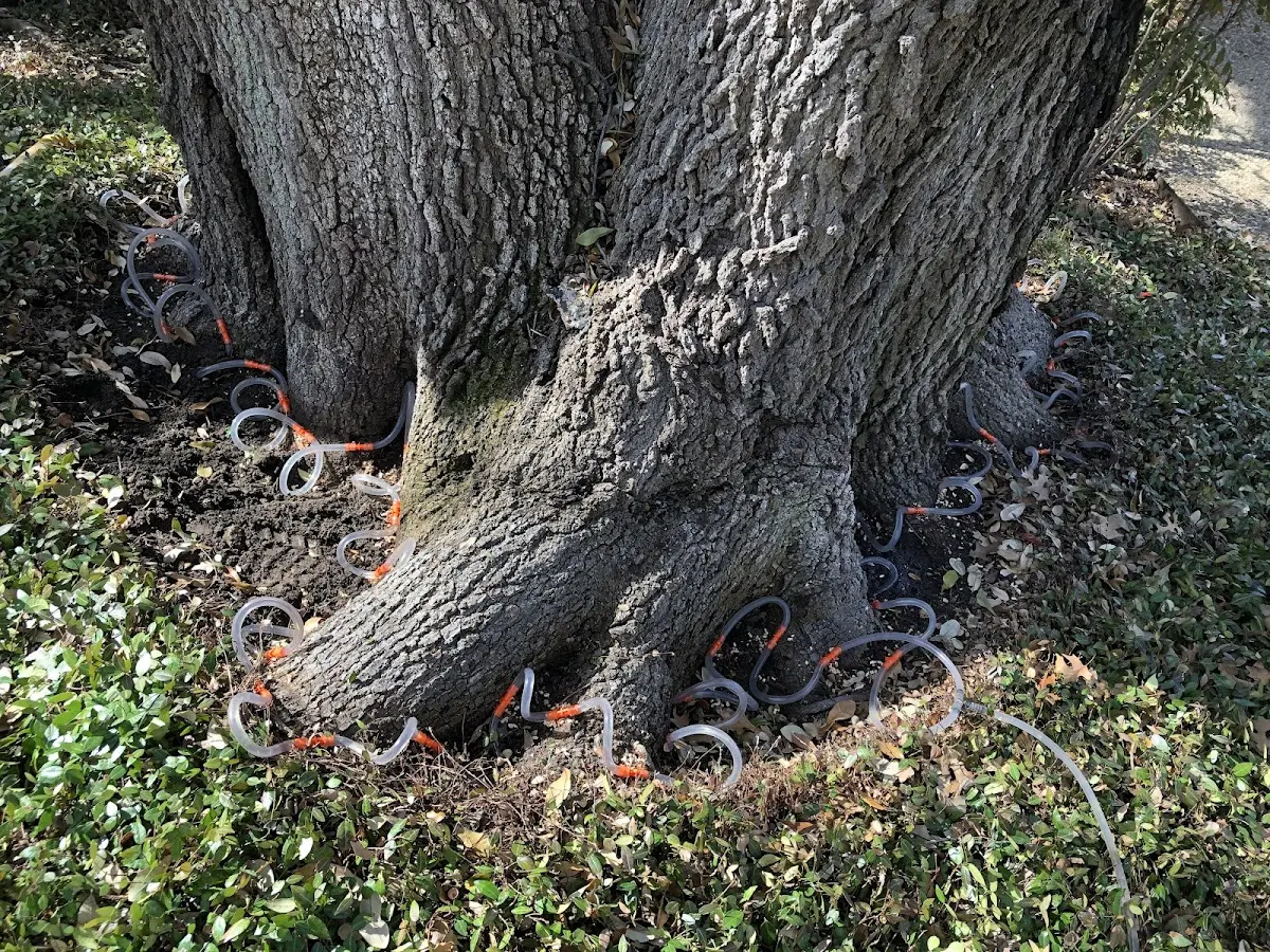 Detailed Shrub and Hedge Trimming job site in Hoxie