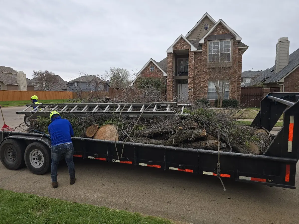 Expert Crown Reduction with proper safety equipment in Hoxie